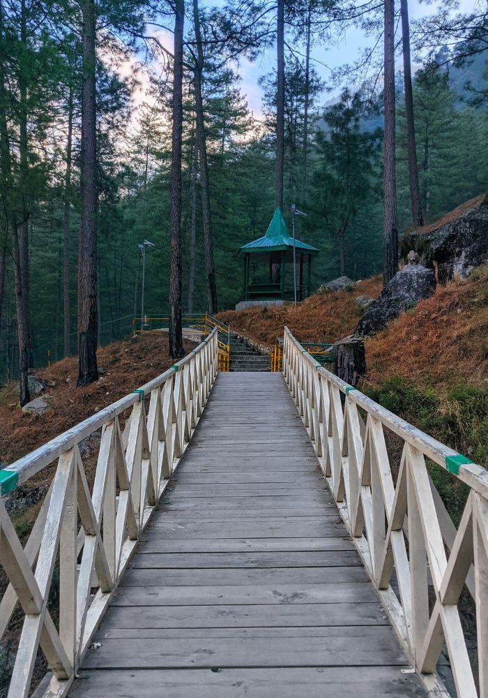 images/new-deal/Uttarakhand Tour Package 7 Nights 8 Days 4.jpg